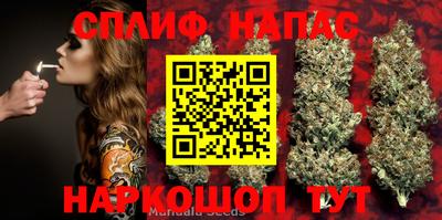 СК Коммунар