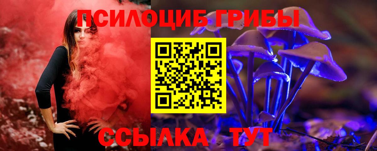 Галлюциногенные грибы GOLDEN TEACHER Воткинск